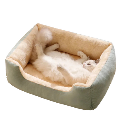 pet – 3