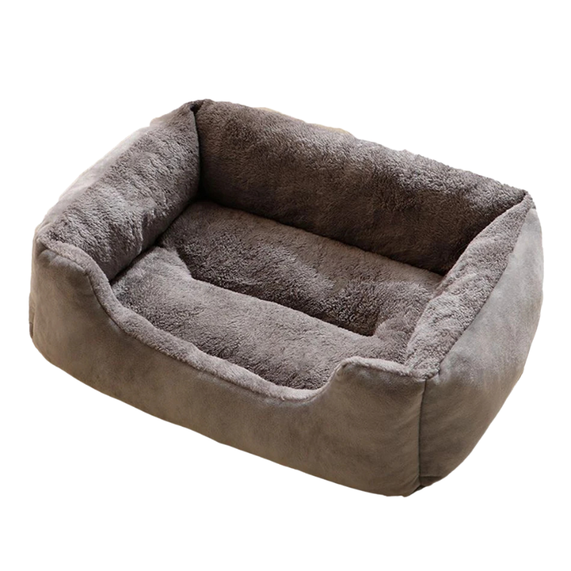 pet – 4