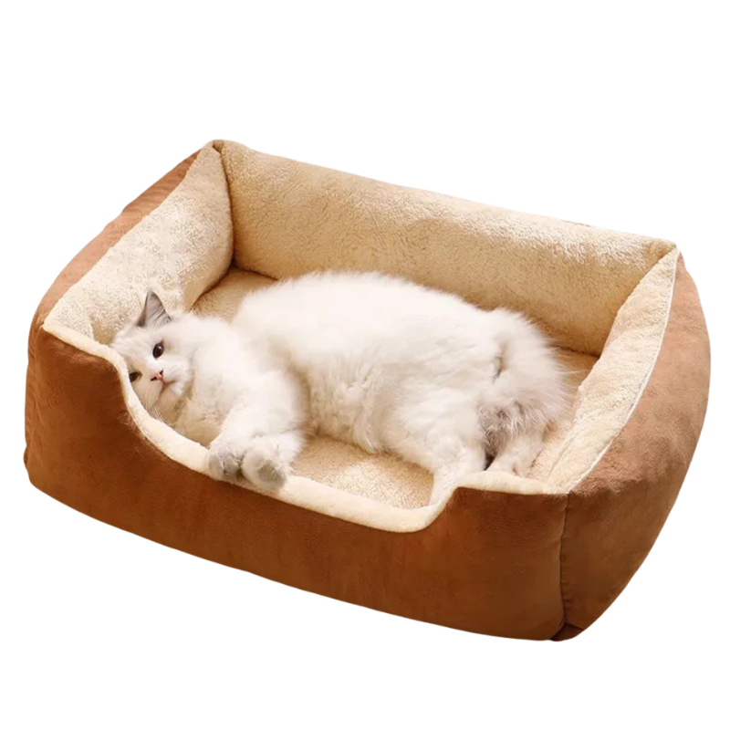 pet – 5