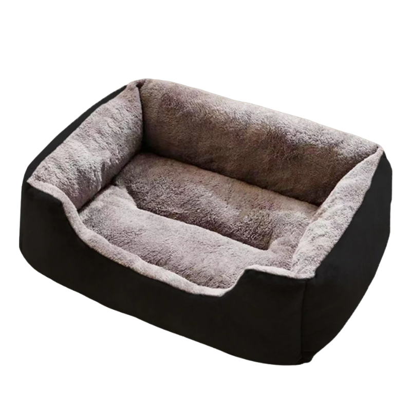 pet – 7