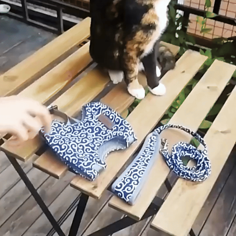 pet