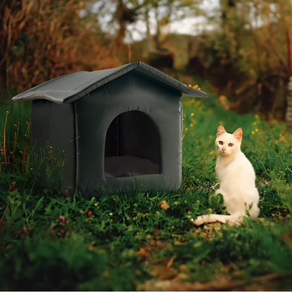 pet