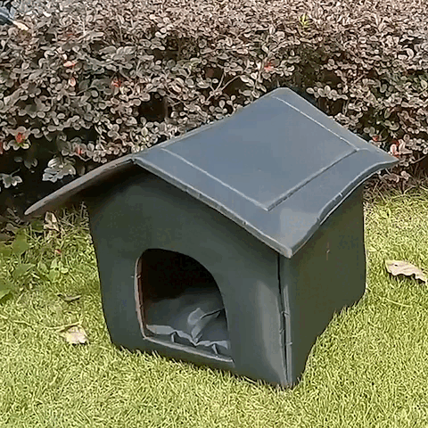 pet