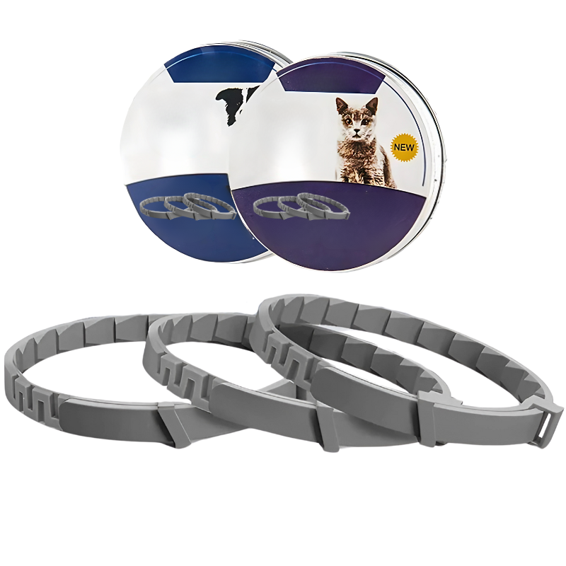 pet – 4