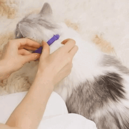 pet