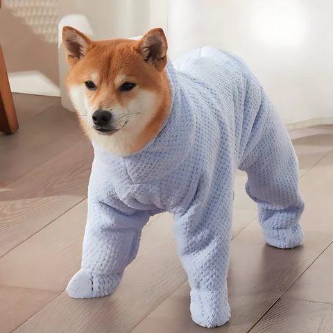 pet