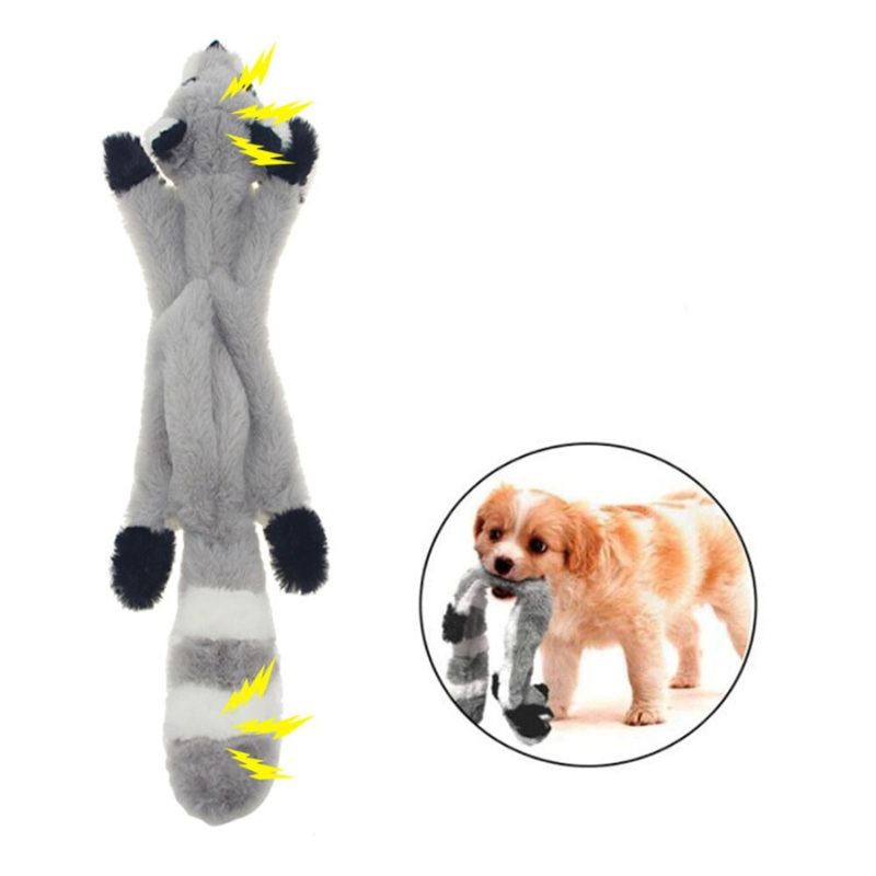 pet – 2