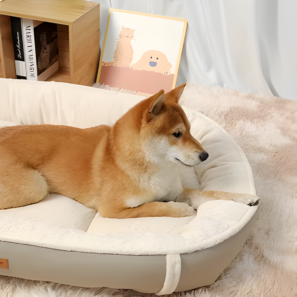 pet bed