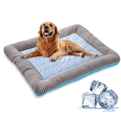 pet bed – 2
