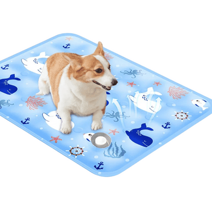 pet bed