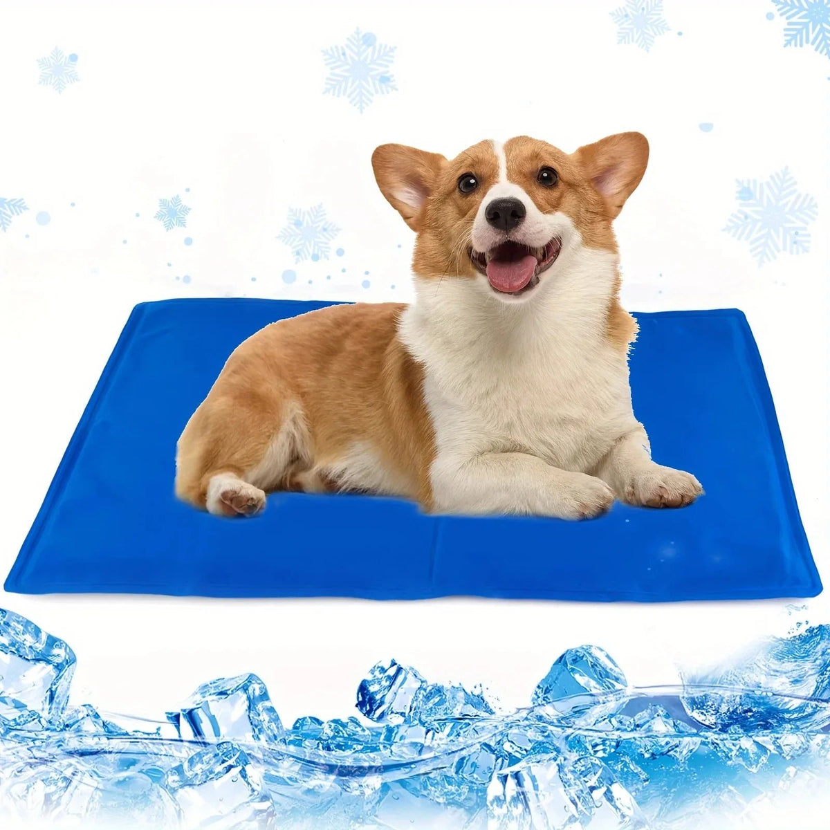 pet bed
