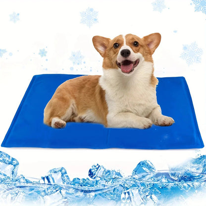 pet bed