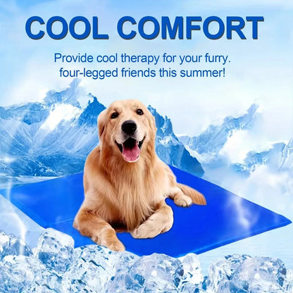 pet bed – 10