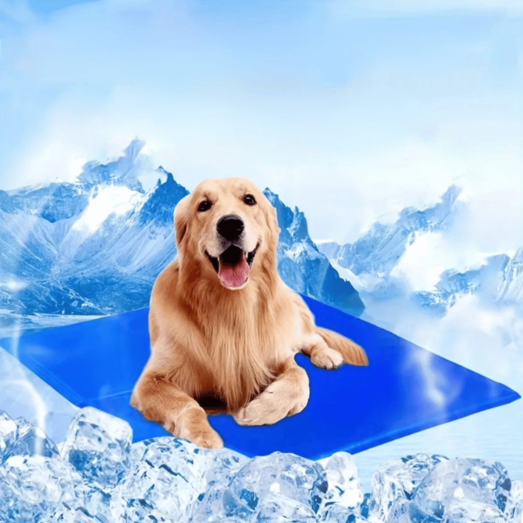 pet bed – 3