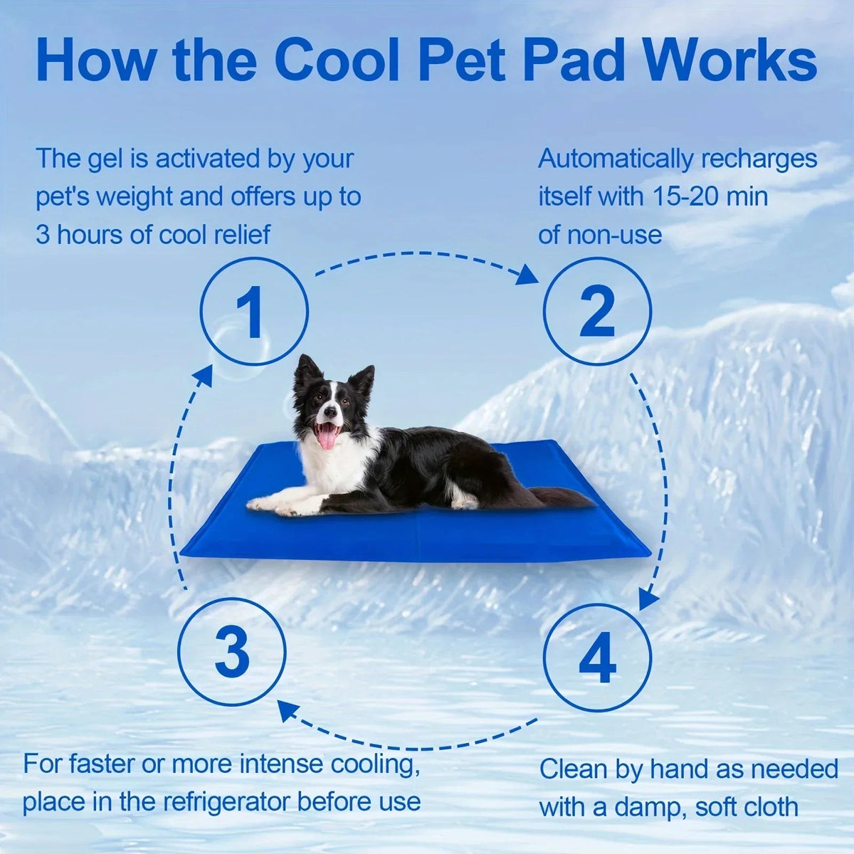 pet bed – 4