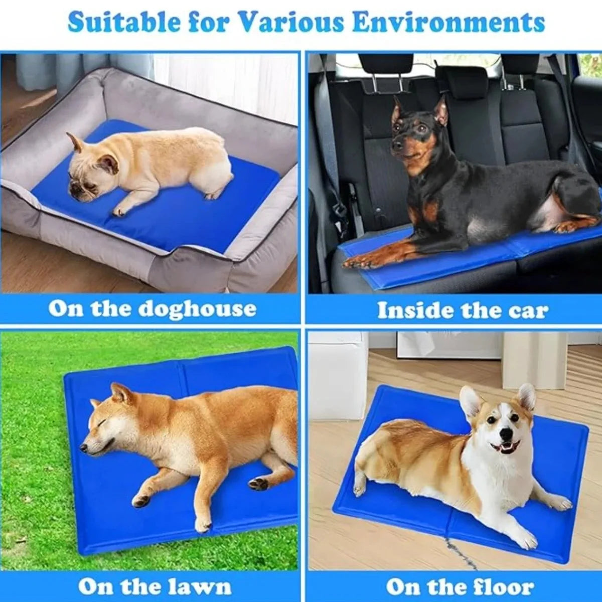 pet bed – 8