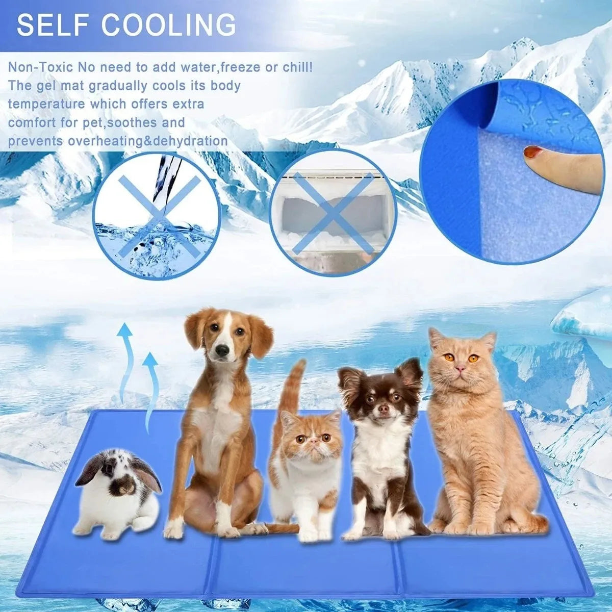 pet bed – 9