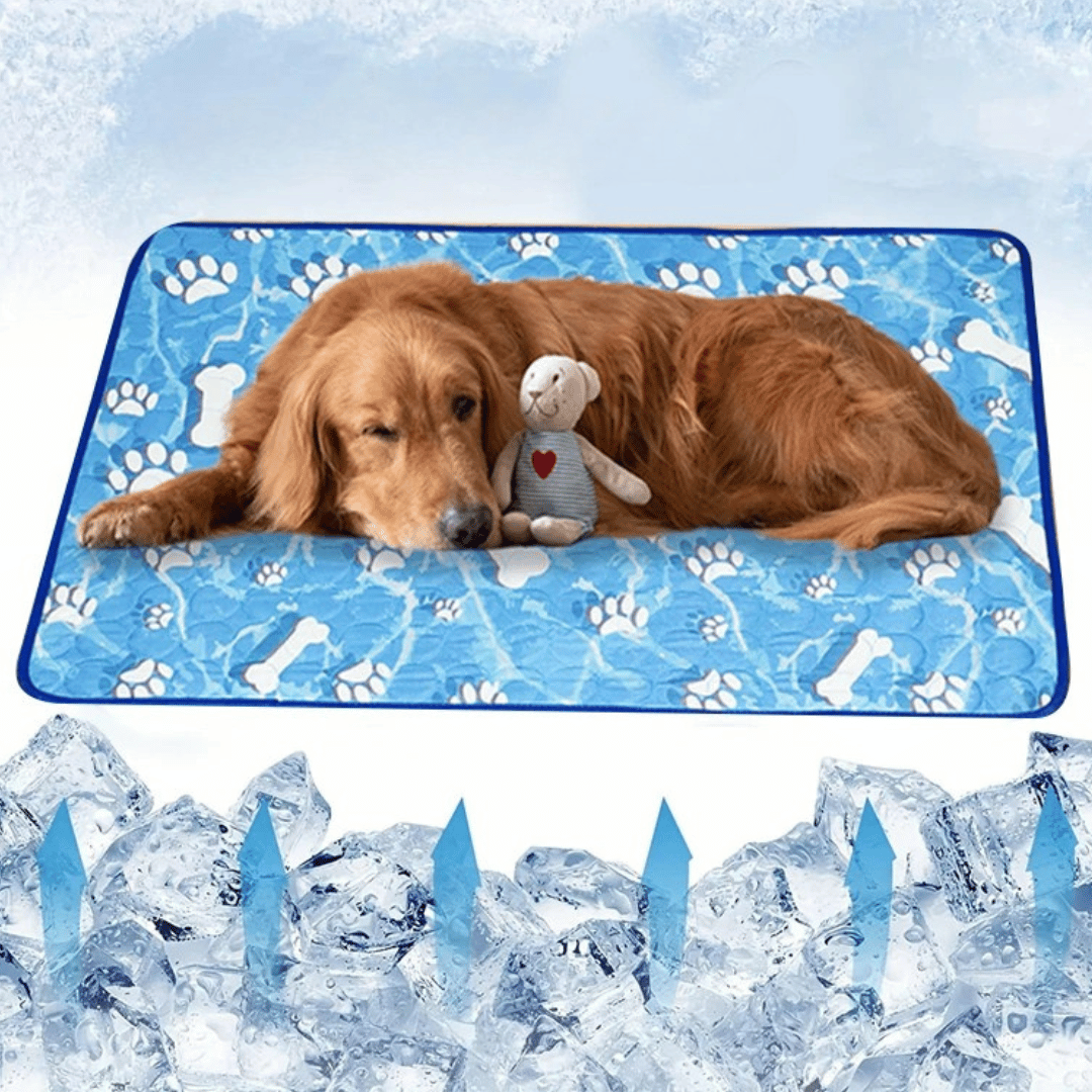 pet bed – 6