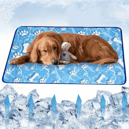 pet bed – 6