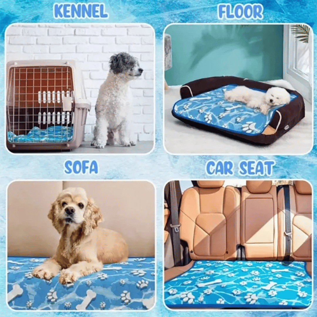 pet bed – 7