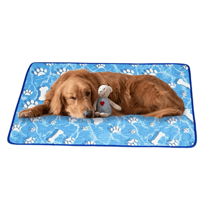 pet bed