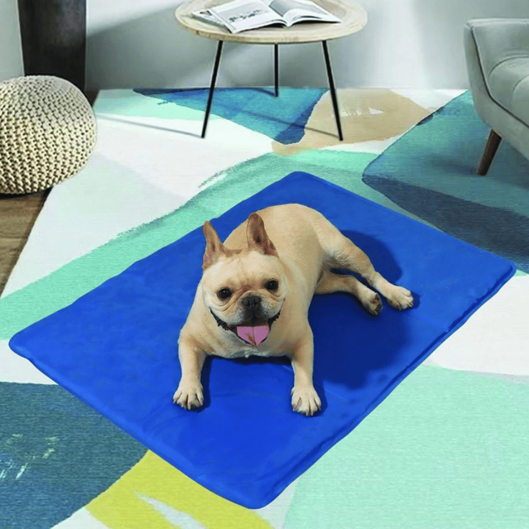 pet bed – 3