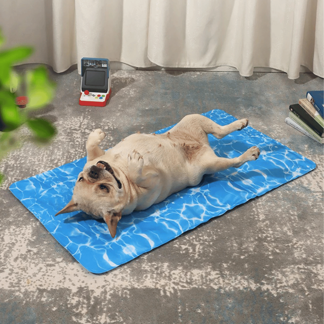 pet bed – 5