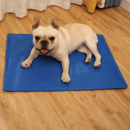 pet bed – 6
