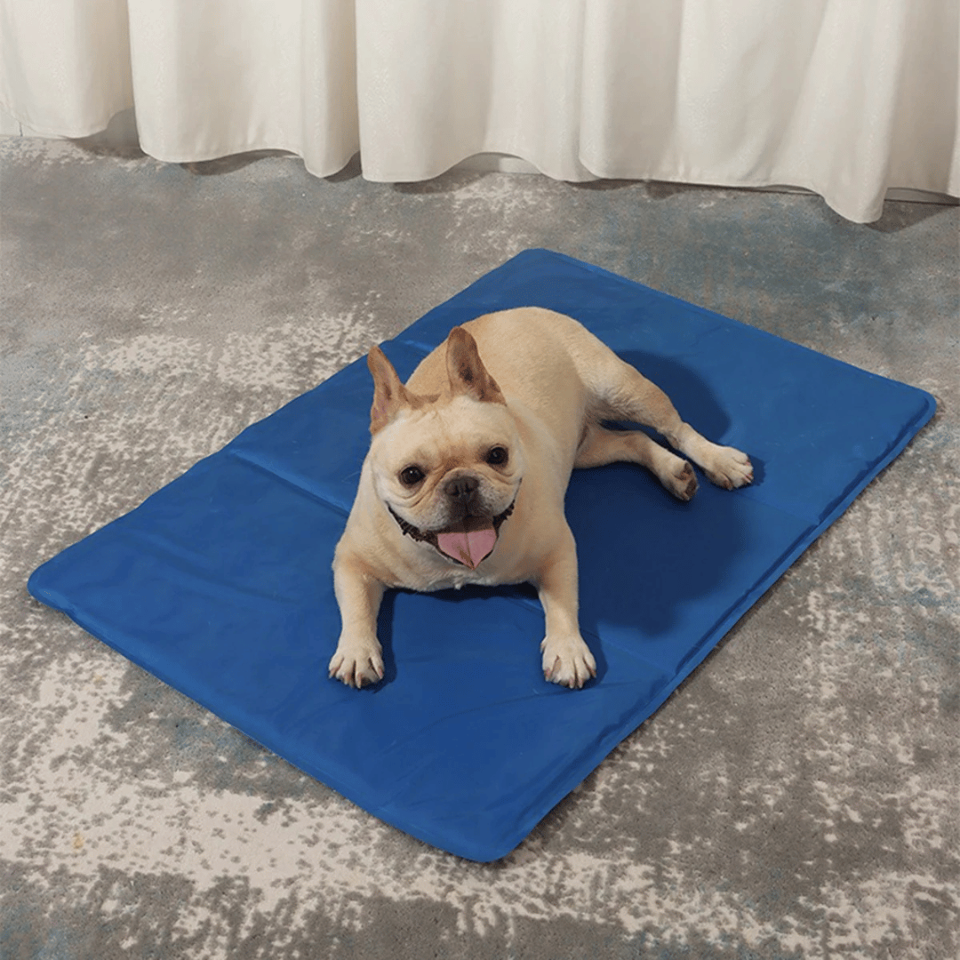 pet bed – 8