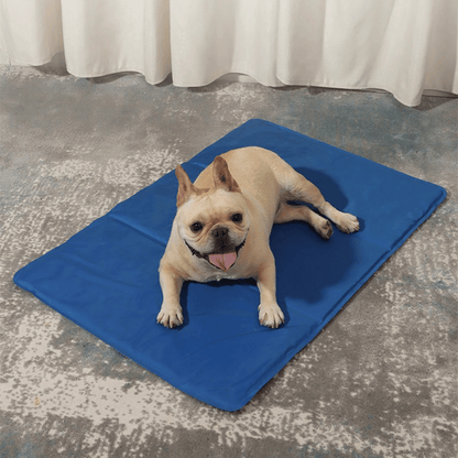 pet bed – 8
