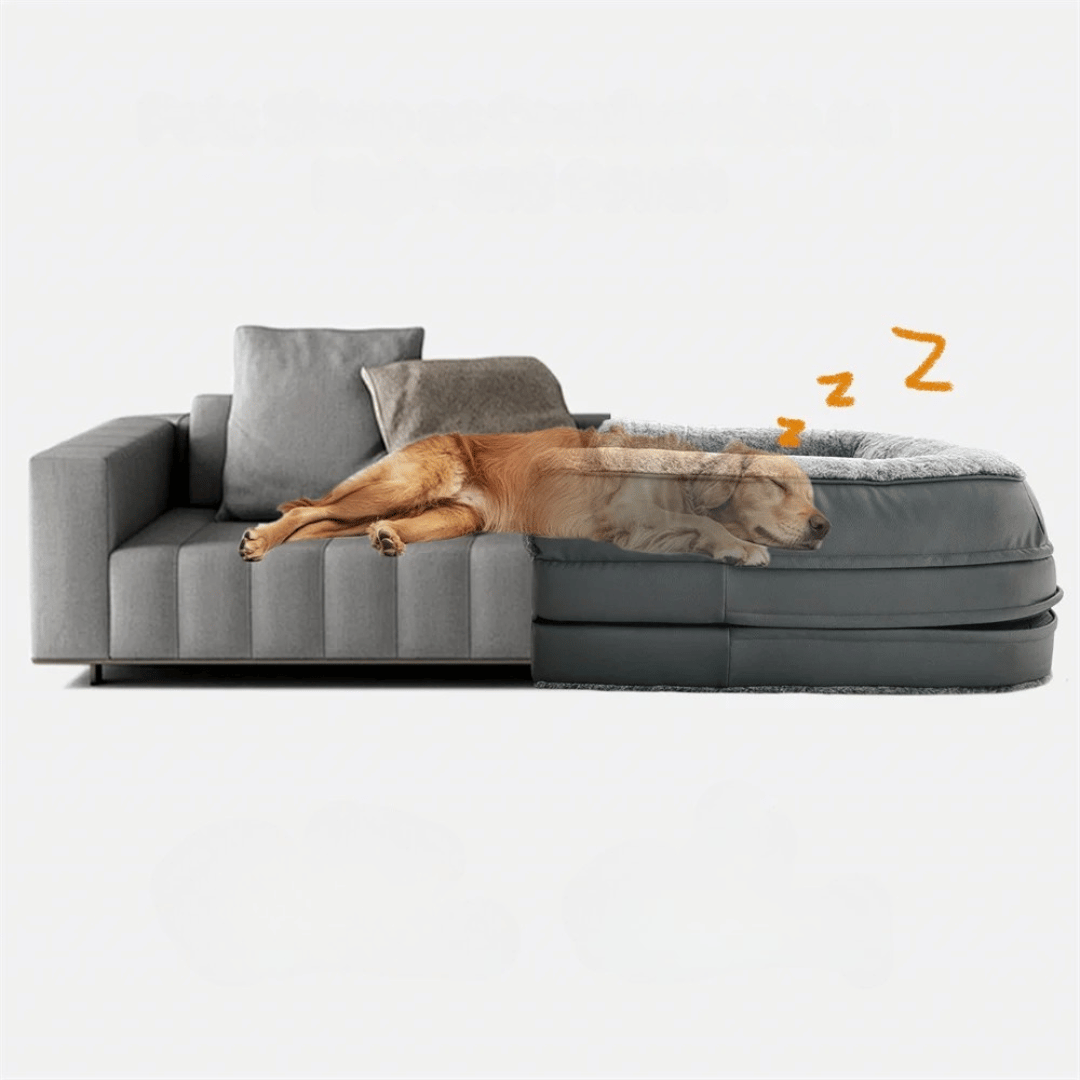 pet bed – 8