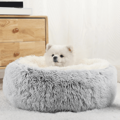 pet bed