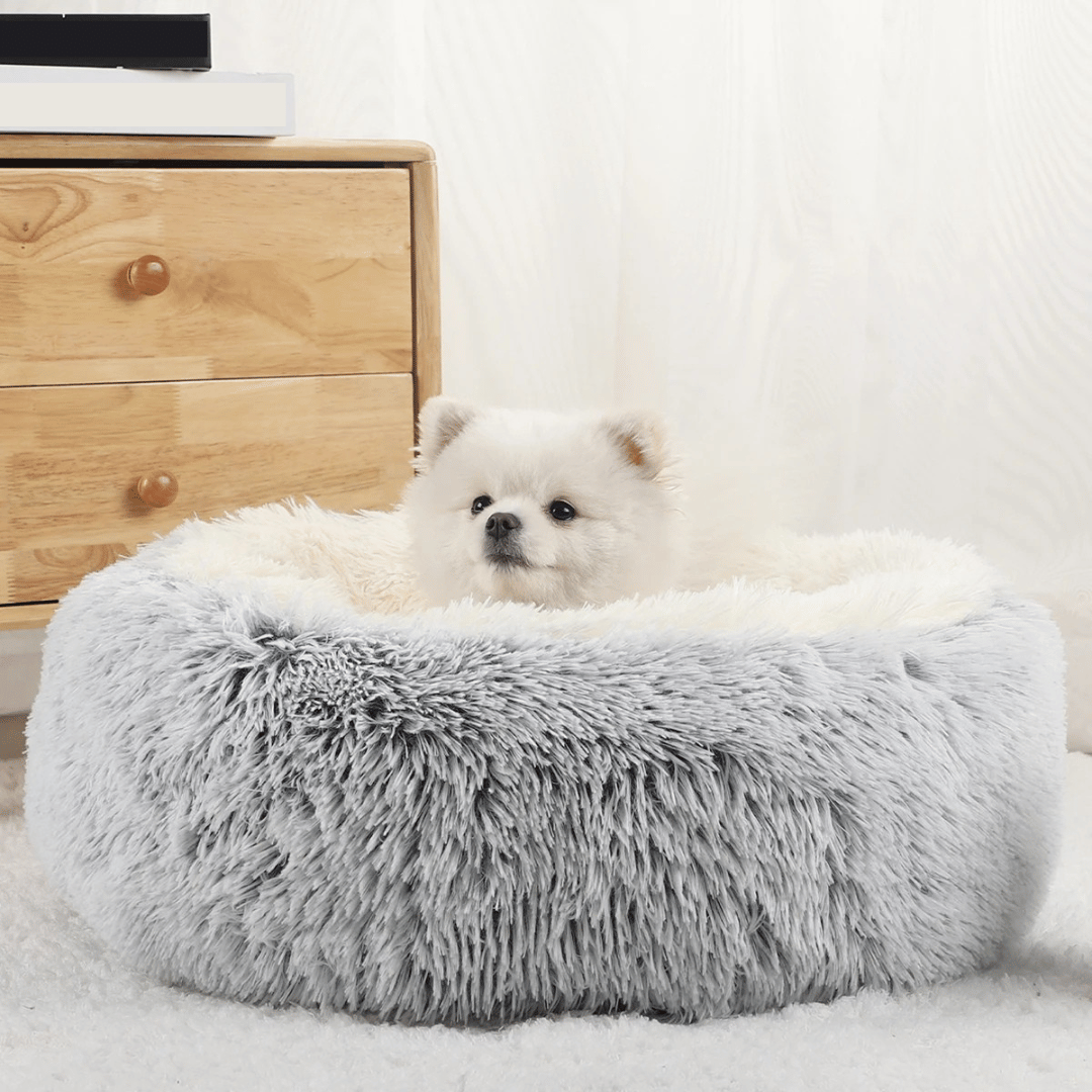 pet bed – 2