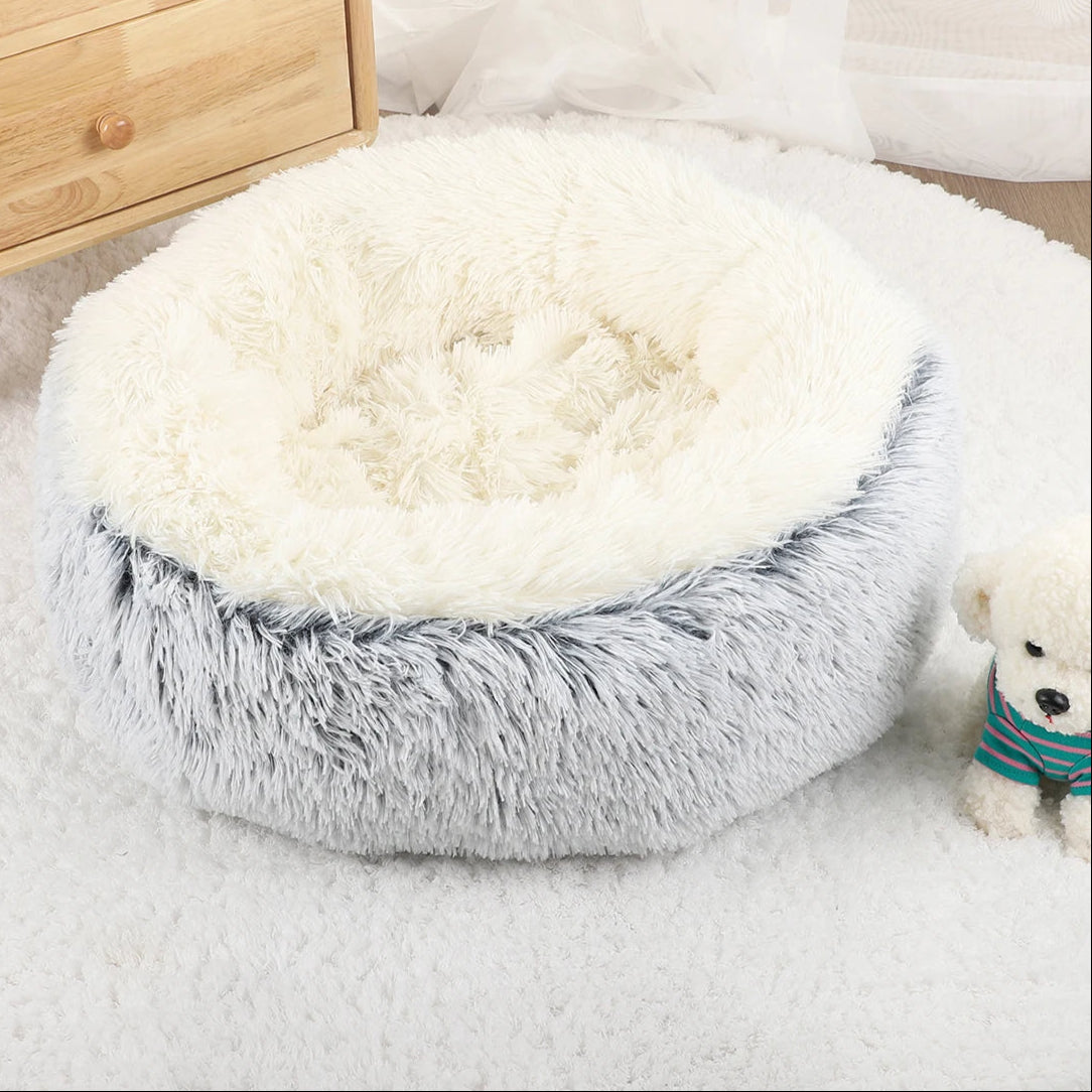 pet bed