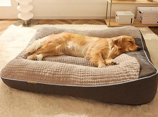 pet bed – 4