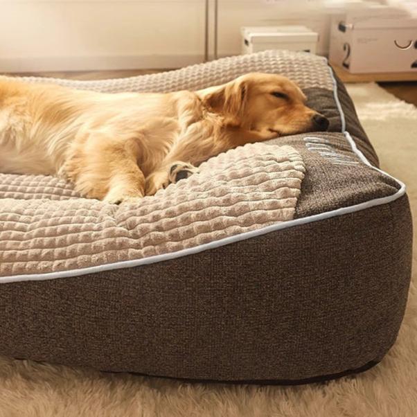 pet bed