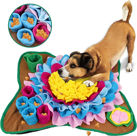 pet bed