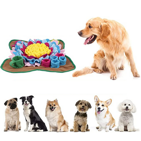 pet bed