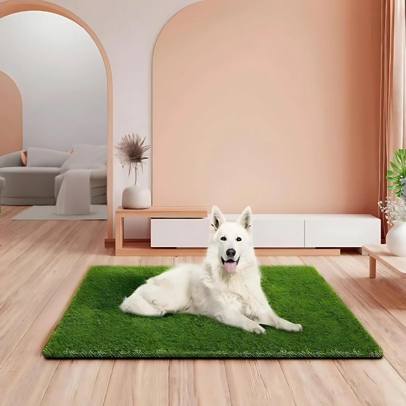 pet bed