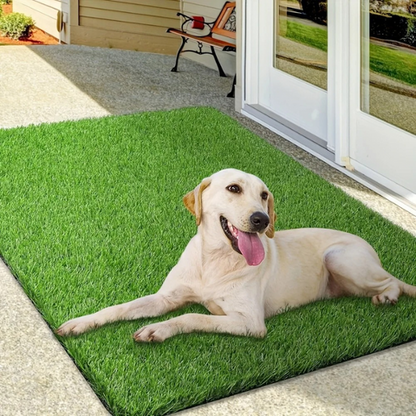 pet bed