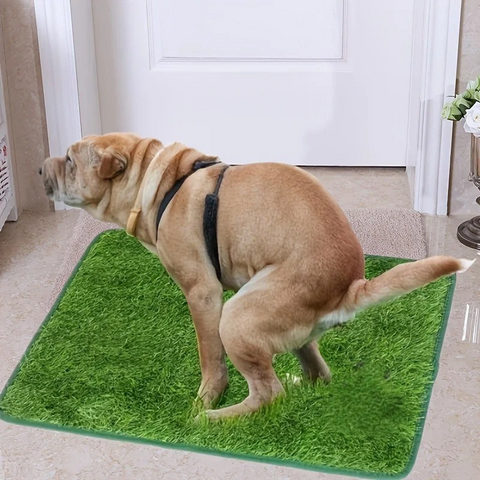 pet bed