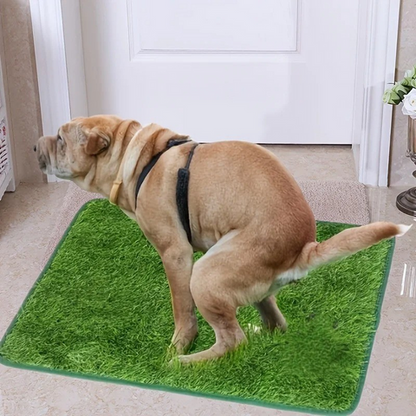 pet bed