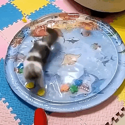 pet bed