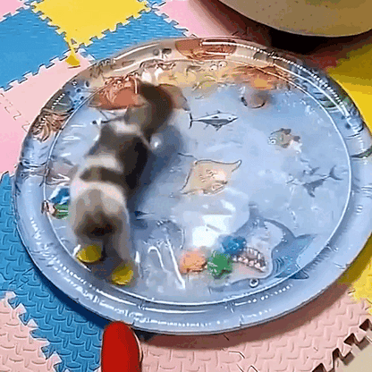 pet bed