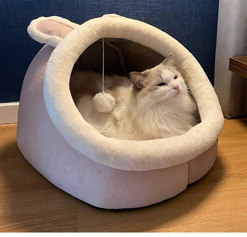 pet bed