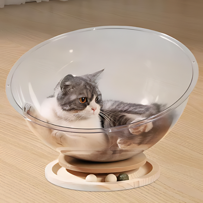 pet bed