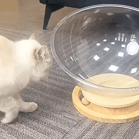 pet bed