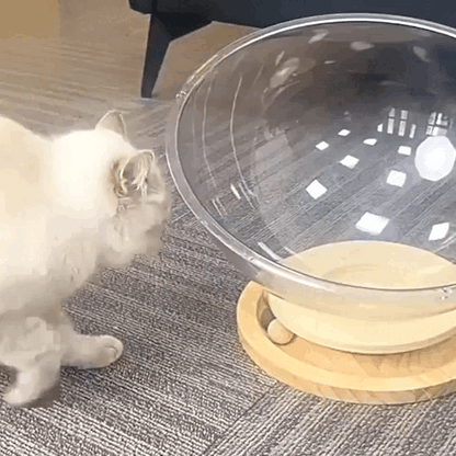 pet bed