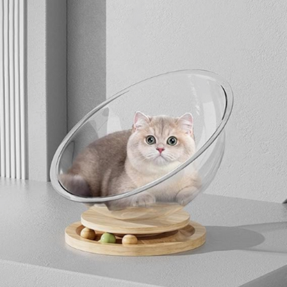 pet bed