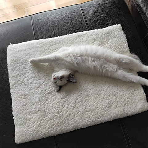 pet bed